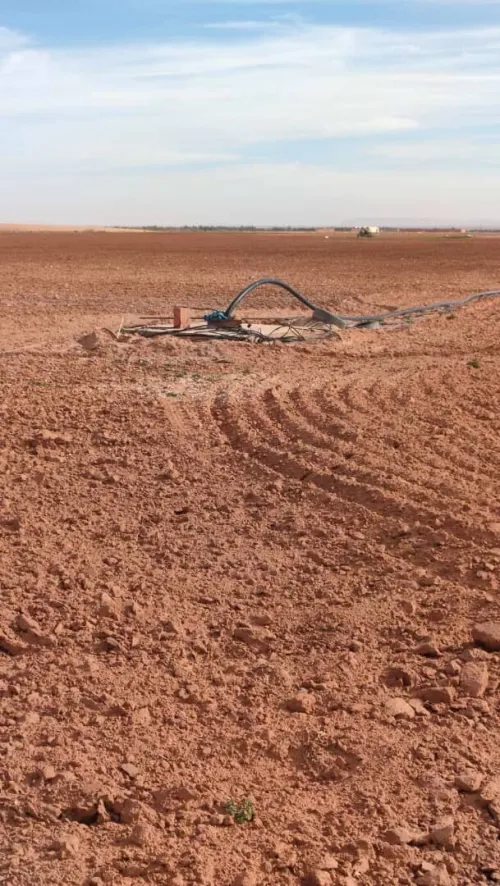Vente Terrain Agricole Djelfa Benhar