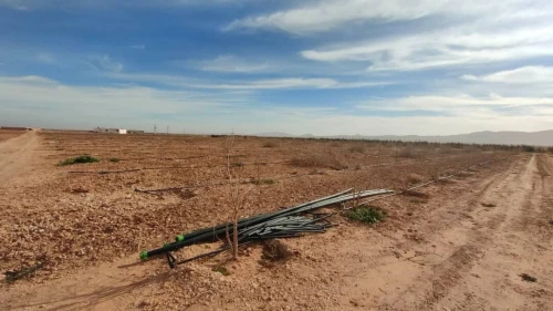 Vente Terrain Agricole Djelfa Benhar