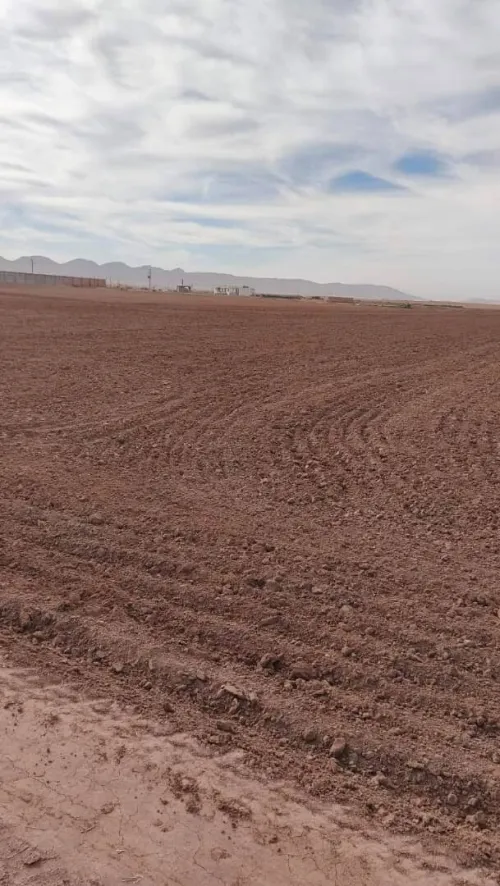 Vente Terrain Agricole Djelfa Benhar