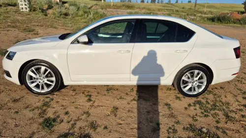 Skoda Octavia Scout 2019 