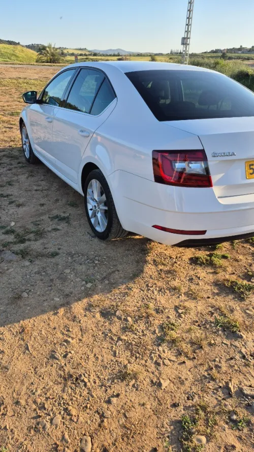 Skoda Octavia Scout 2019 