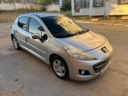 Peugeot 207 2011 Fennec