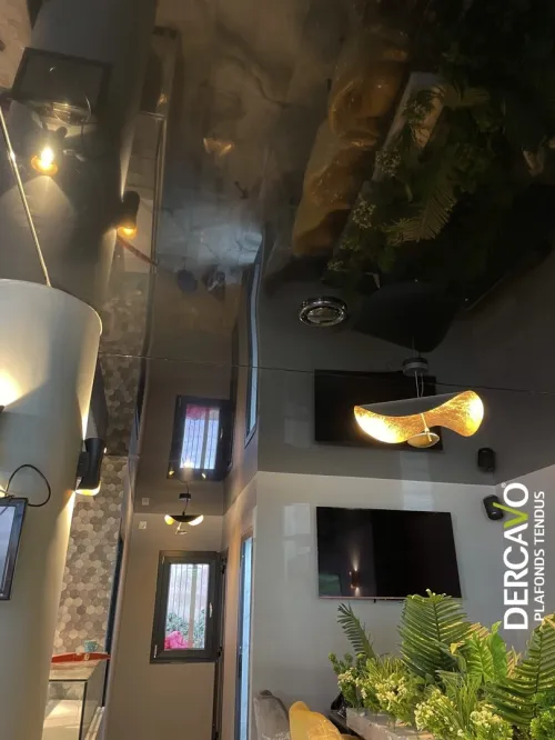 faux plafond algerie