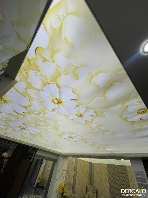 Faux Plafond - Plafonds