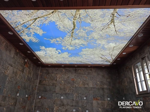 plafond tendu Algérie