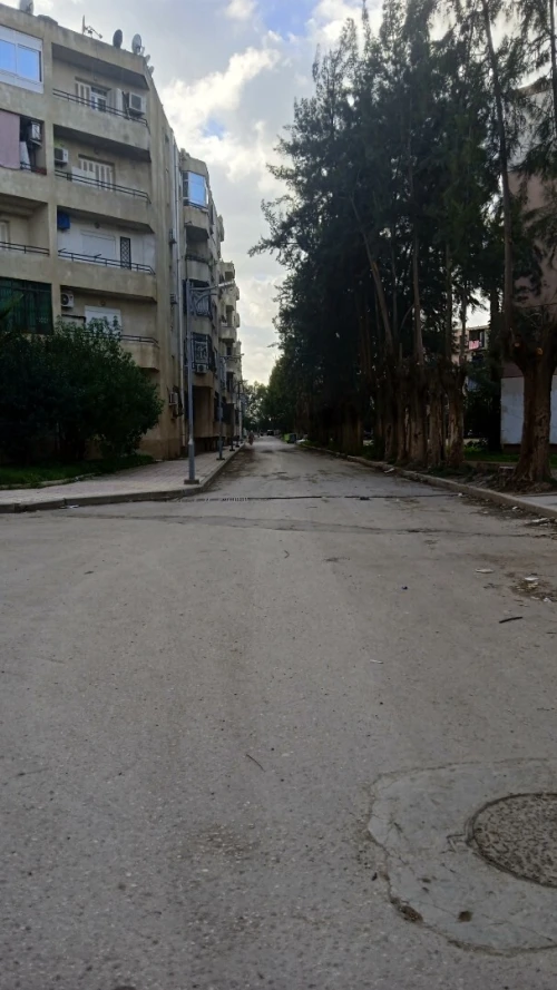 Location Local Alger Sidi moussa