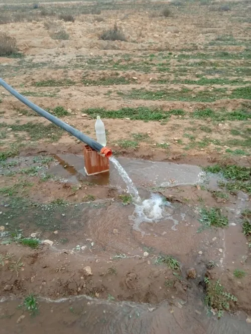 Vente Terrain Agricole Djelfa Hassi bahbah