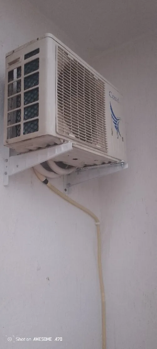 Pro clim dz