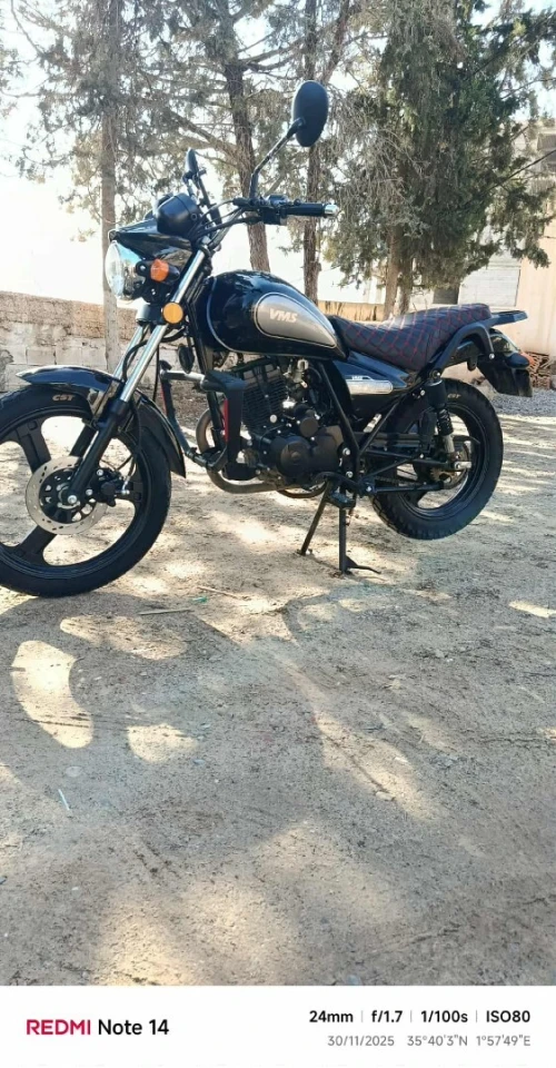 VMS C-LIGHT 2024