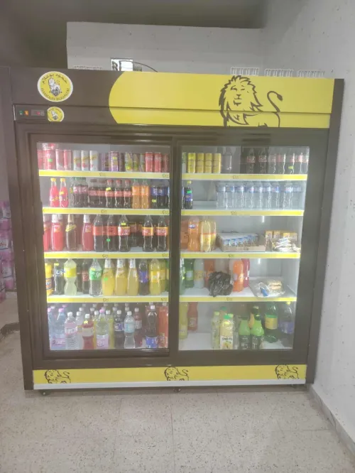 Frigo présentoir et mural 