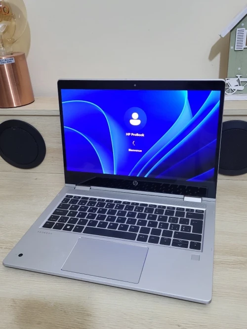HP ProBook X360 435 G10 TACTILE | RYZEN 7 7730U | 32GB RAM | 512GB NVMe SSD | AMD Radeon Graphics