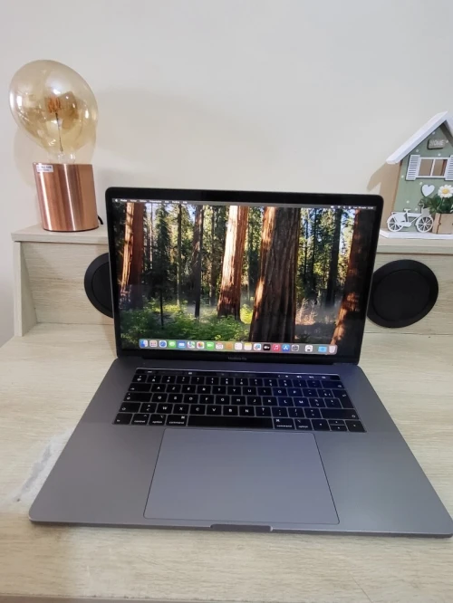 MacBook Pro 16" 2019 | INTEL CORE i7 | 16GB RAM | RADEON PRO 555X 4GB | 256GB NVMe SSD | WORKSATION
