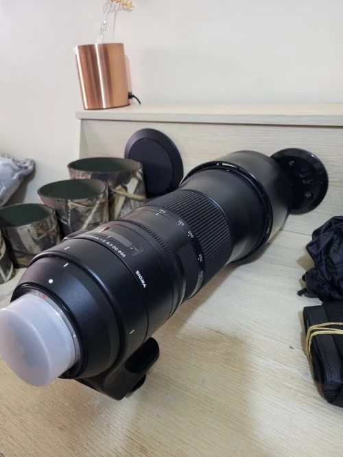 Sigma Téléobjectif 150-600mm F5-6.3 DG OS HSM Contemporary | Monture Nikon | pour la captation à distance et l'événement | Rendu pro