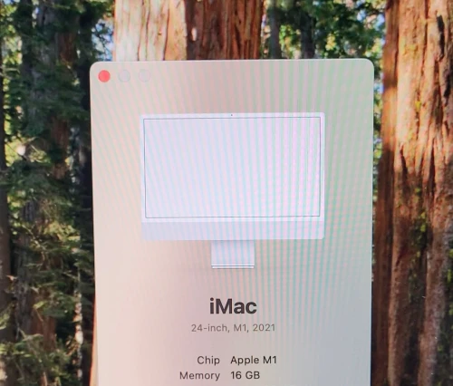 IMAC M1 24'' 4.5K | M1 Pro 8 CPU | GPU 8 COEURS | 16GB RAM | 512GB NVMe SSD |