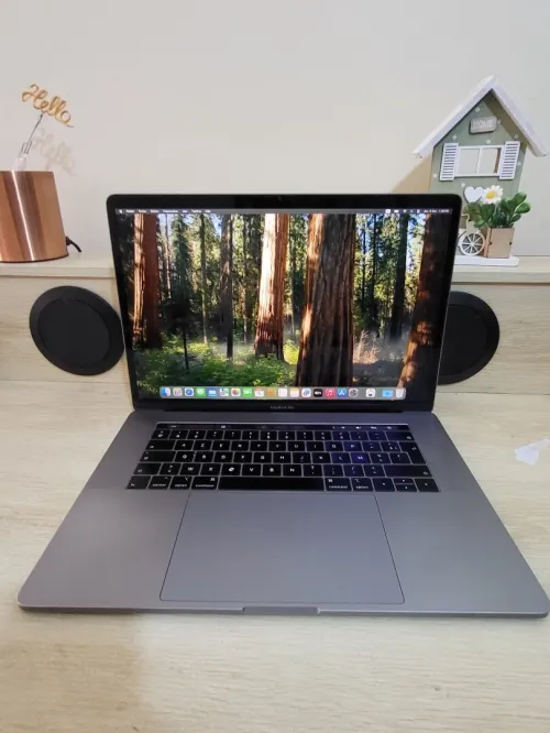 MacBook Pro 16" 2019 | CORE i7 | 16GB RAM | AMD RADEON PRO 555X 4GB | 256GB SSD | GAMME Workstation