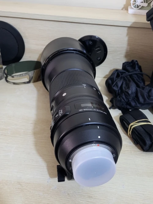 Sigma Téléobjectif 150-600mm F5-6.3 DG OS HSM Contemporary | Monture Nikon | pour la captation à distance et l'événement | Rendu pro