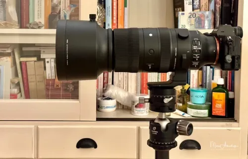 SIGMA 60-600mm F4.5-6.3 DG DN OS Sports Sony E