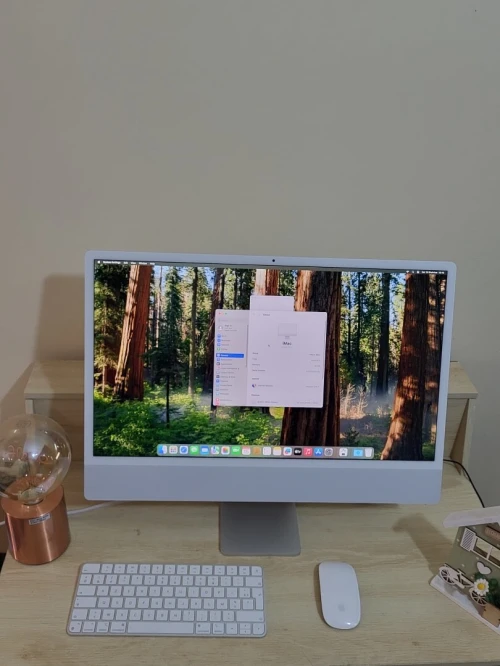IMAC M1 24'' 4.5K | M1 Pro 8 CPU | GPU 8 COEURS | 16GB RAM | 512GB NVMe SSD |