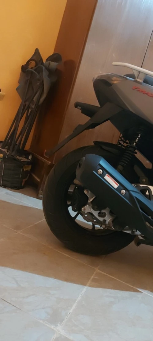 Vms V max 2024
