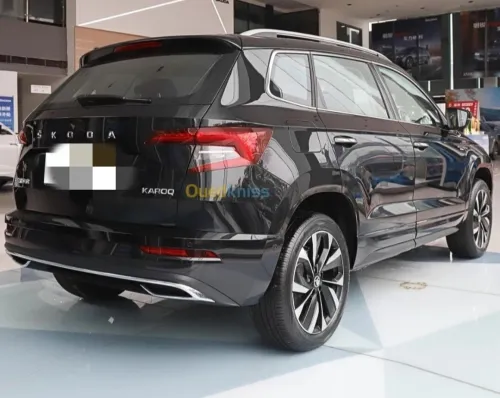 Skoda Karoq 2025 Karoq