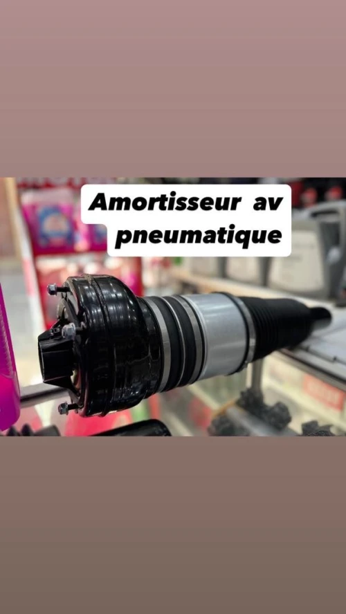 AMORTISSEUR PNEUMATIQUE