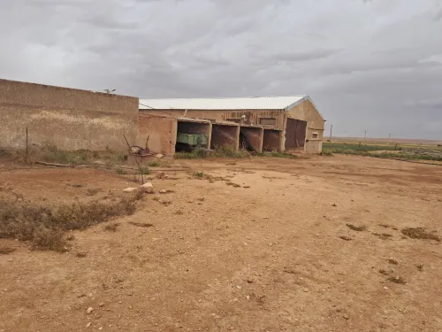 Vente Terrain Agricole Saïda Sidi ahmed