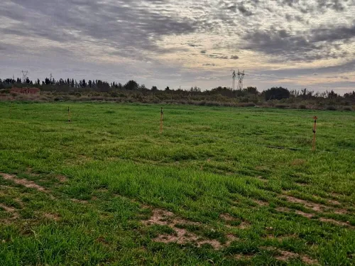 Vente Terrain Agricole Saïda Sidi ahmed
