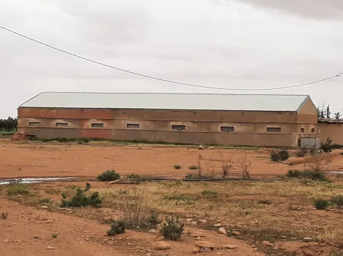 Vente Terrain Agricole Saïda Sidi ahmed
