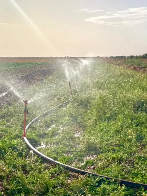 Vente Terrain Agricole Saïda Sidi ahmed
