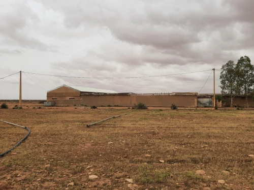 Vente Terrain Agricole Saïda Sidi ahmed