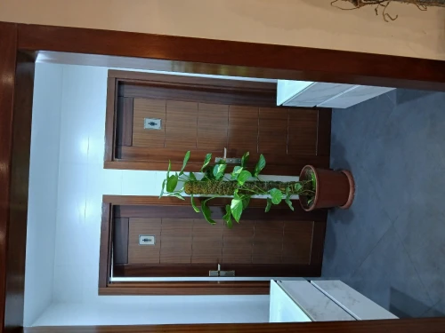 porte en bois
