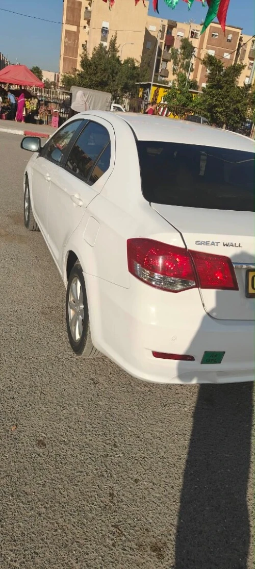 Great Wall Voleex 2013 C30