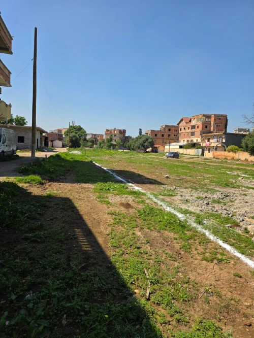 Vente Terrain Alger Birtouta