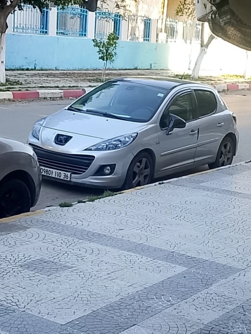 Peugeot 207 2010 Active