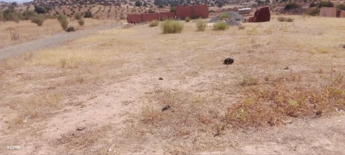 Vente Terrain Bouira Ahl el ksar