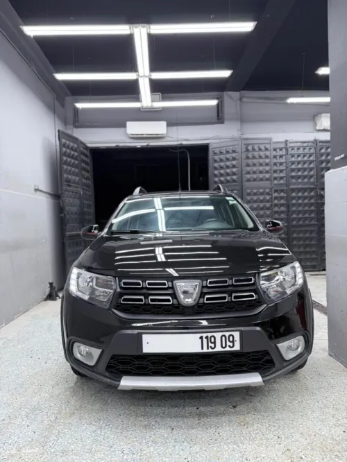 Dacia Sandero 2019 Stepway Techroad