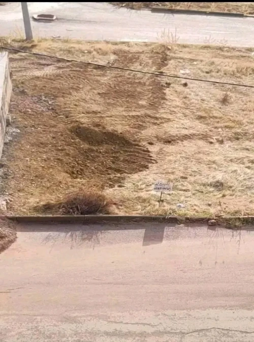 Vente Terrain Sétif Bougaa