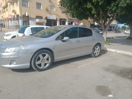 Peugeot 407 2007 407