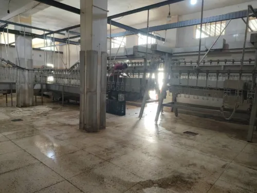 Vente Hangar Constantine Zighoud youcef