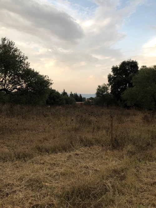 Vente Terrain Béjaïa Oued ghir