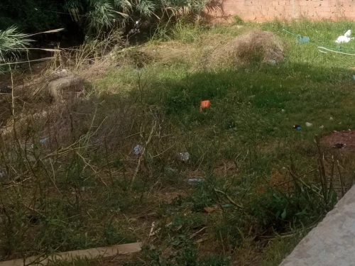 Vente Terrain Alger Birkhadem