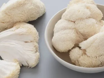 champignons en poudre