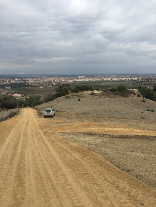 Vente Terrain Blida Bougara