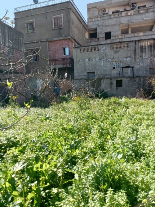 Vente Villa Blida Larbaa