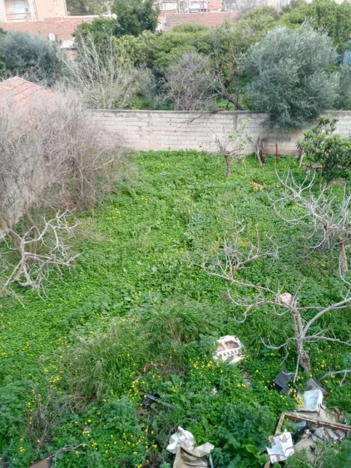 Vente Villa Blida Larbaa