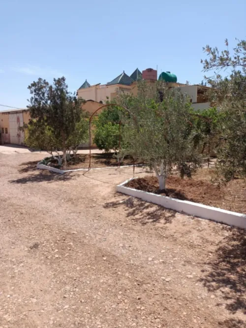 Vente bien immobilier Tlemcen Remchi