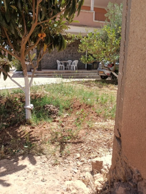 Vente bien immobilier Tlemcen Remchi