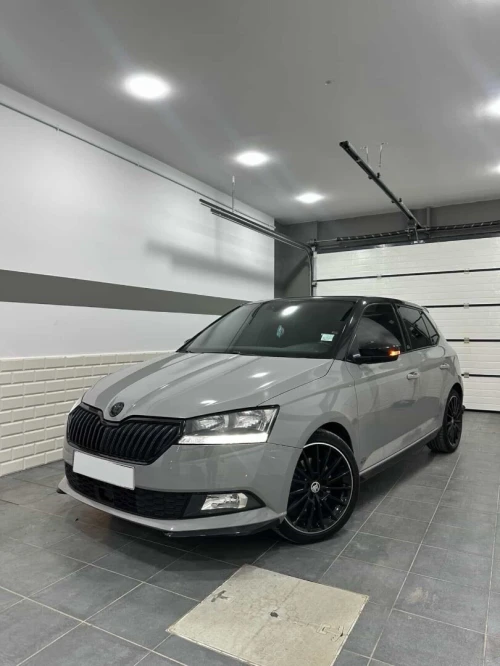 Skoda Fabia 2021 Monte Carlo