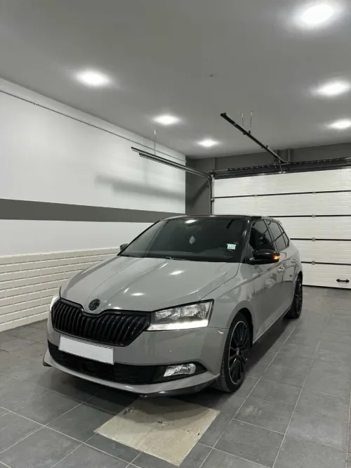 Skoda Fabia 2021 Monte Carlo