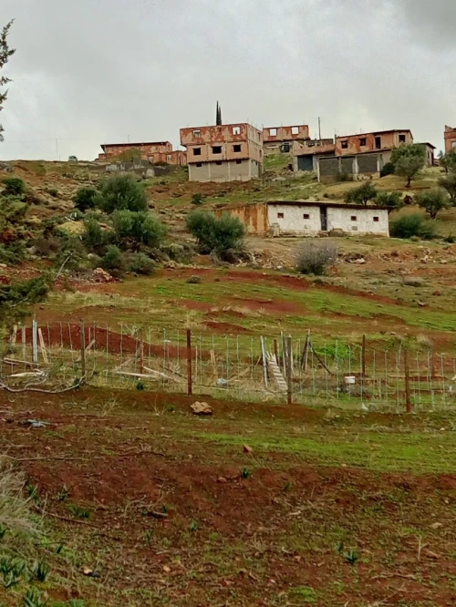 Vente Terrain Tlemcen Beni mester
